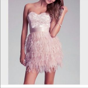 BEBE ISIS LACE AND FEATHER DRESS. Blush pink